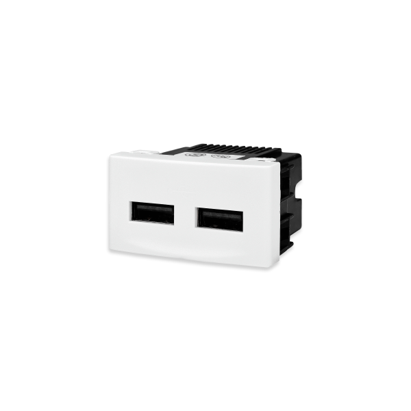 Módulo cargador USB doble (Alimentación 220 V~ salida 5Vcc - 2A. máximo simultáneo)